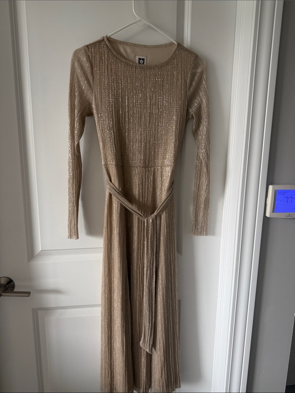 Anne Klein Metallic Beige-Gold Long Sleeve Pleated Evening Dress